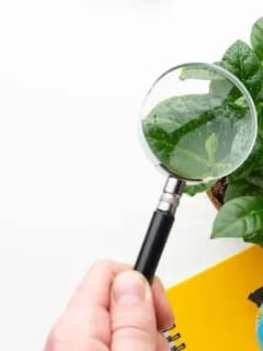 Credible Sustainability Claims: Avoiding Greenwashing in 2025 - Cover Image