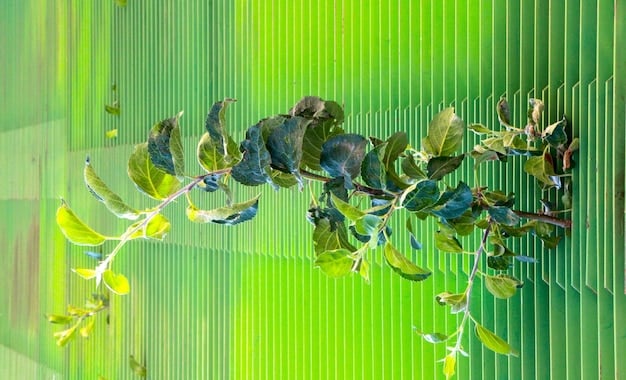 A side-by-side comparison graphic. On one side, vibrant green forests and thriving ecosystems are depicted with the caption 