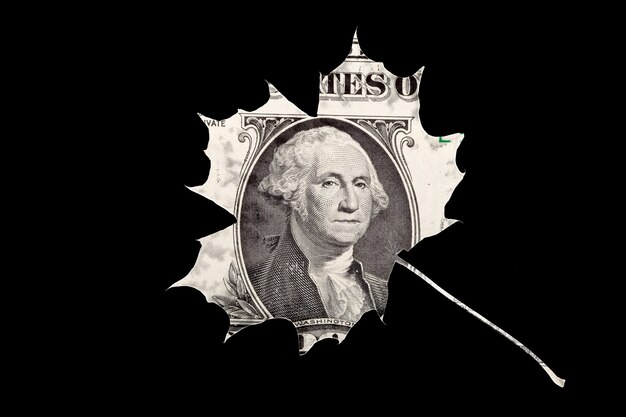 Campaign Finance Loopholes: Fueling Political Corruption?