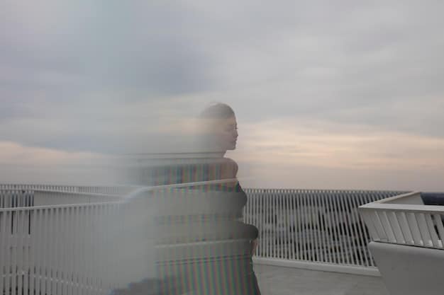 A divided image. On one side, Lady Justice holding scales. On the other side, a silhouette of the White House with dark clouds looming above, suggesting potential corruption or misuse of power.