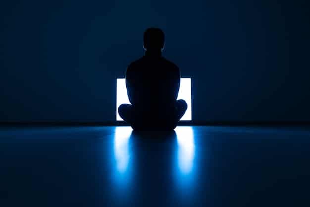 An illustration depicting a shadowy figure using a laptop in a darkened room, symbolizing the anonymity and digital methods often associated with political leaks. Emphasis on the technological aspect and the hidden nature of the activity.