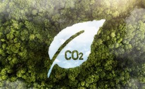 Sustainability Claims
