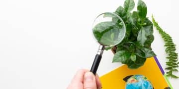 Credible Sustainability Claims: Avoiding Greenwashing in 2025 - Cover Image